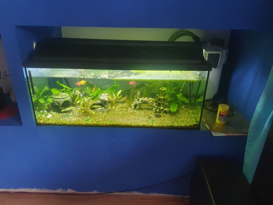 Sprzedam akwarium 160 litrów z całym osprzętem