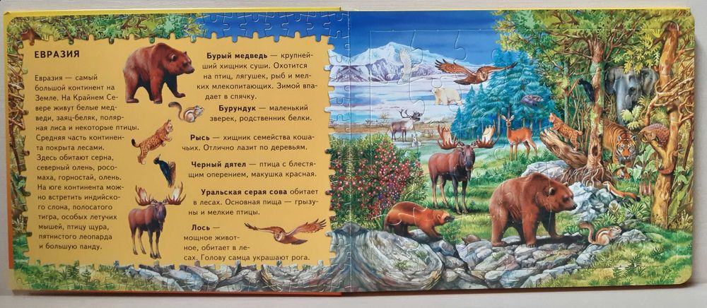 Пазлы Животные пяти континентов детские обучающие пазлы звери природа