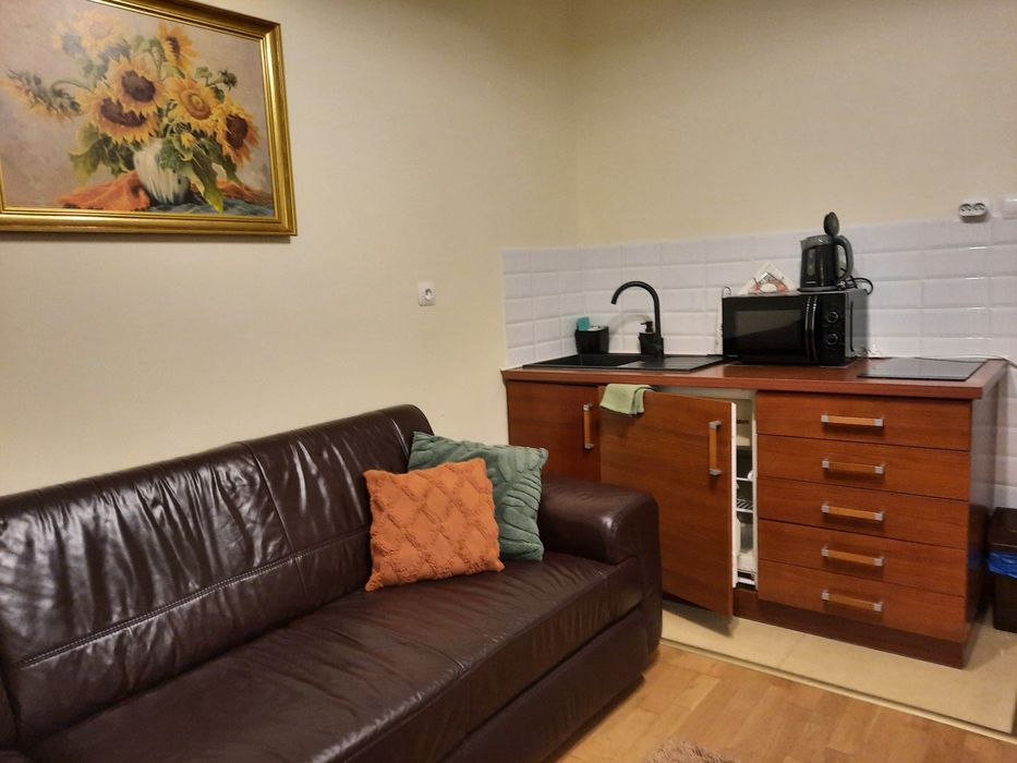 Wynajmę Aparatament RODZINNY Wypoczynek centrum miasta Krynica Zdrój