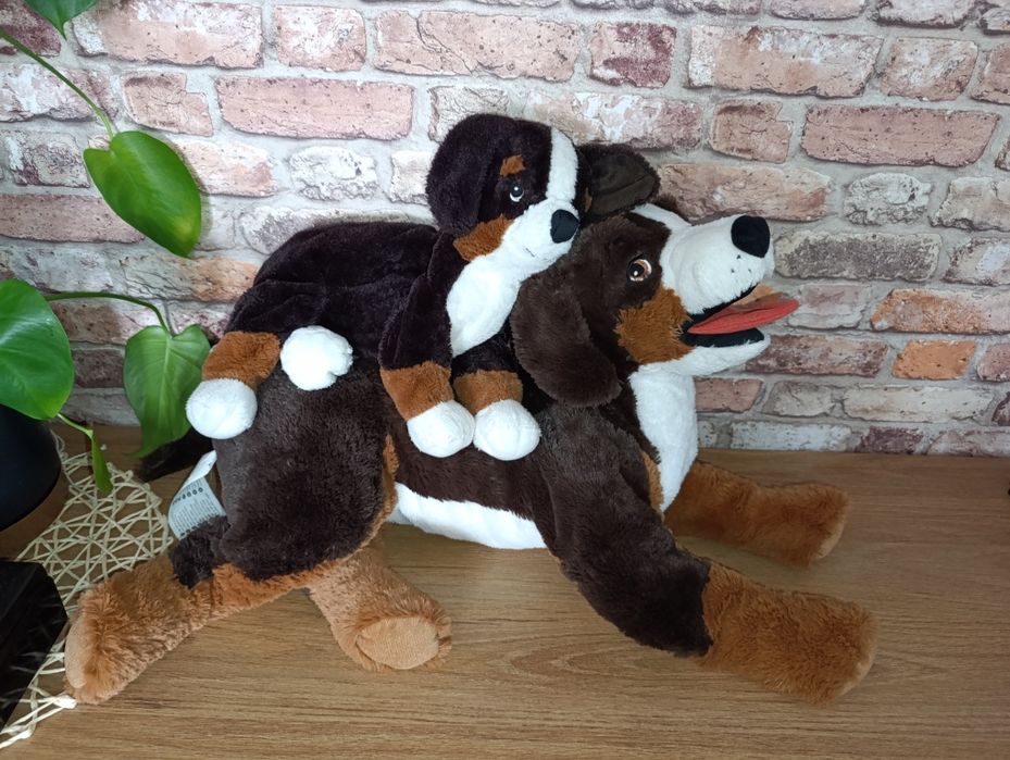 IKEA HOPPIG pies berneński pasterski duży 70 cm i mały maskotka zestaw