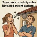 Osy Szerszenie Karaluchy Karaczany Rybiki Robaki DDD Torun okolice