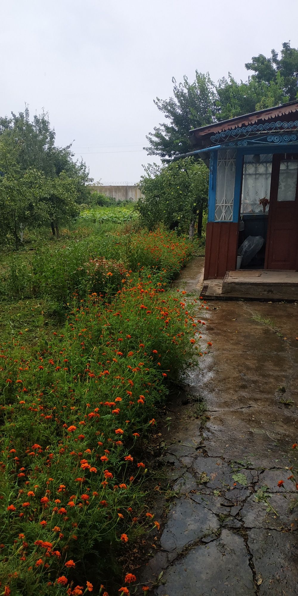 Продається приватний будинок