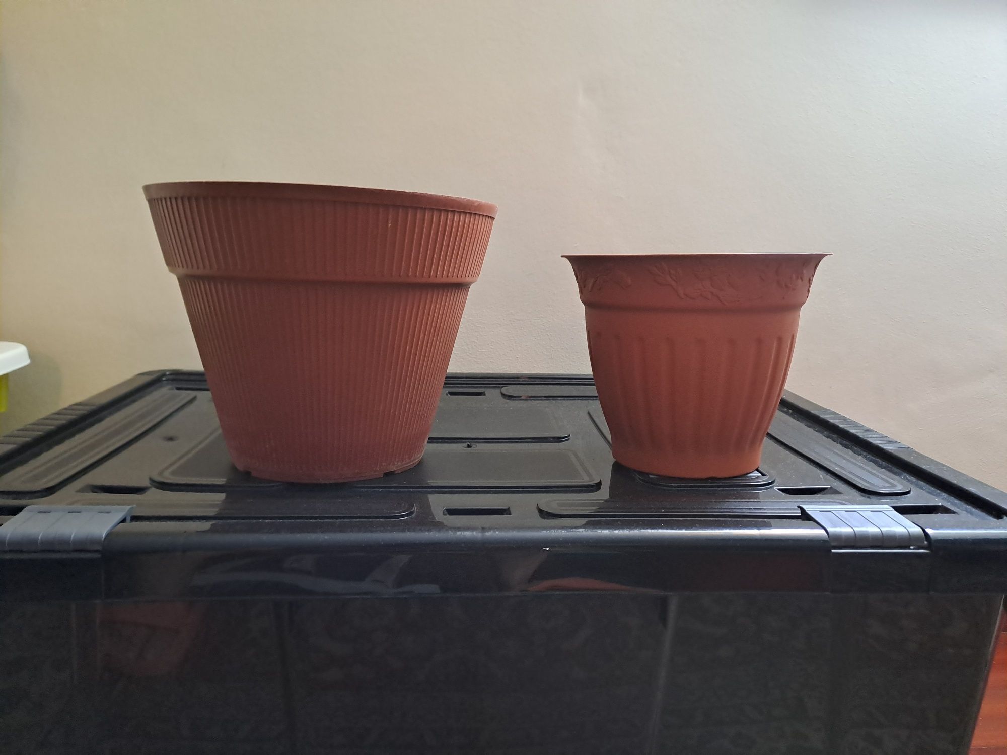 Vasos de plantas