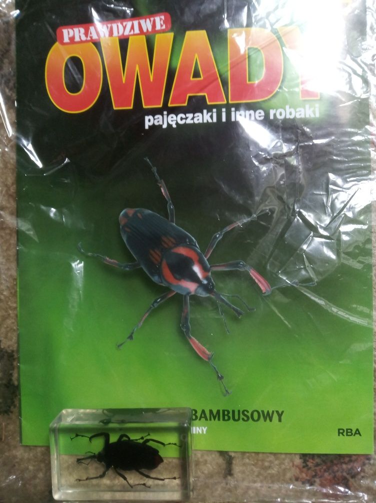 Magazyn z serii "Prawdziwe Owady", nr 37