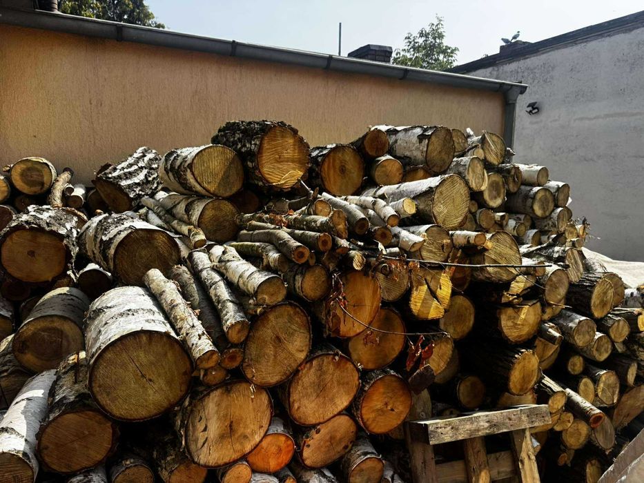 Brzoza drewno opałowe liściaste