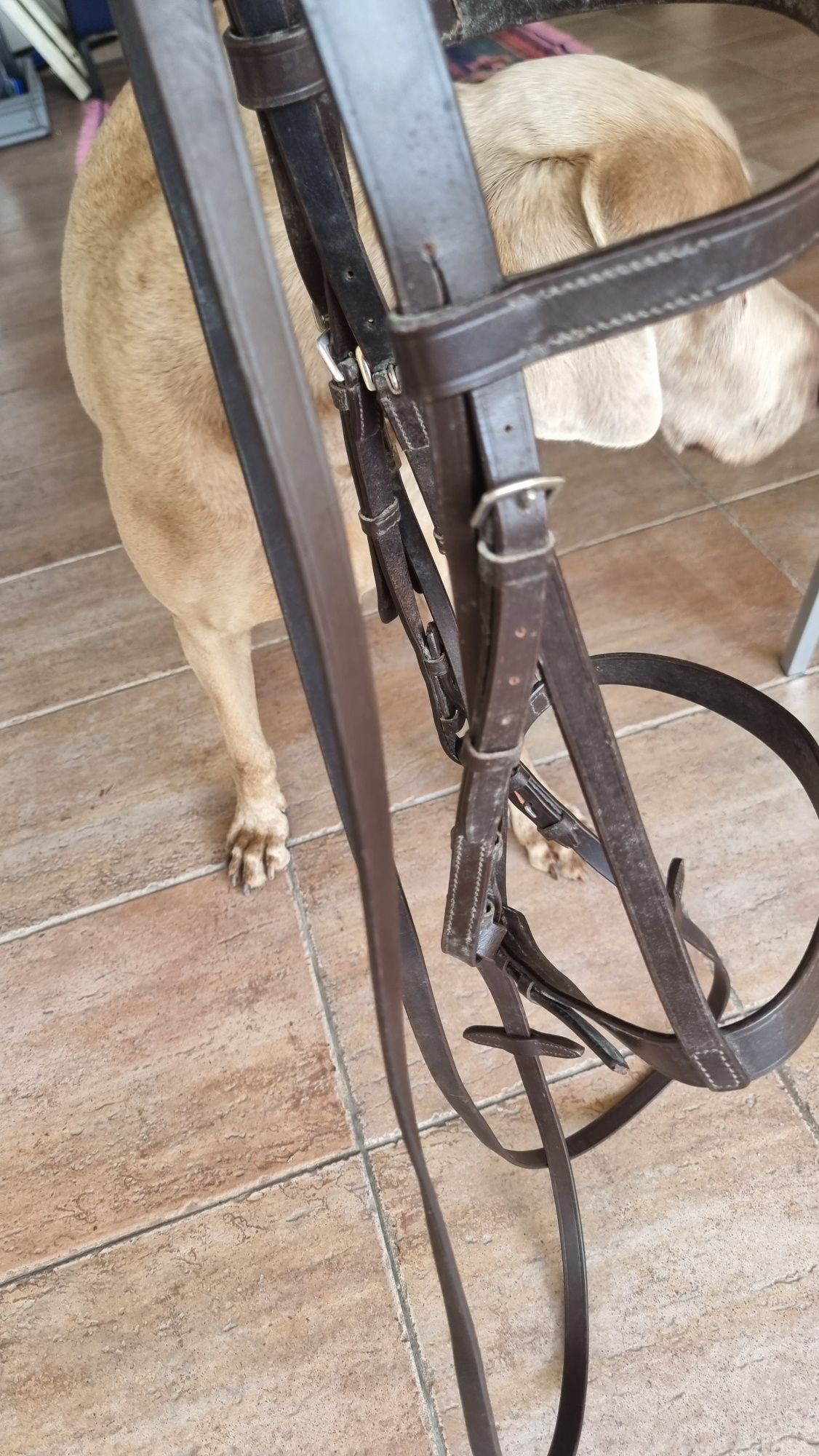 Vendo sela 17.5 /cabeçada/cilha /bridao