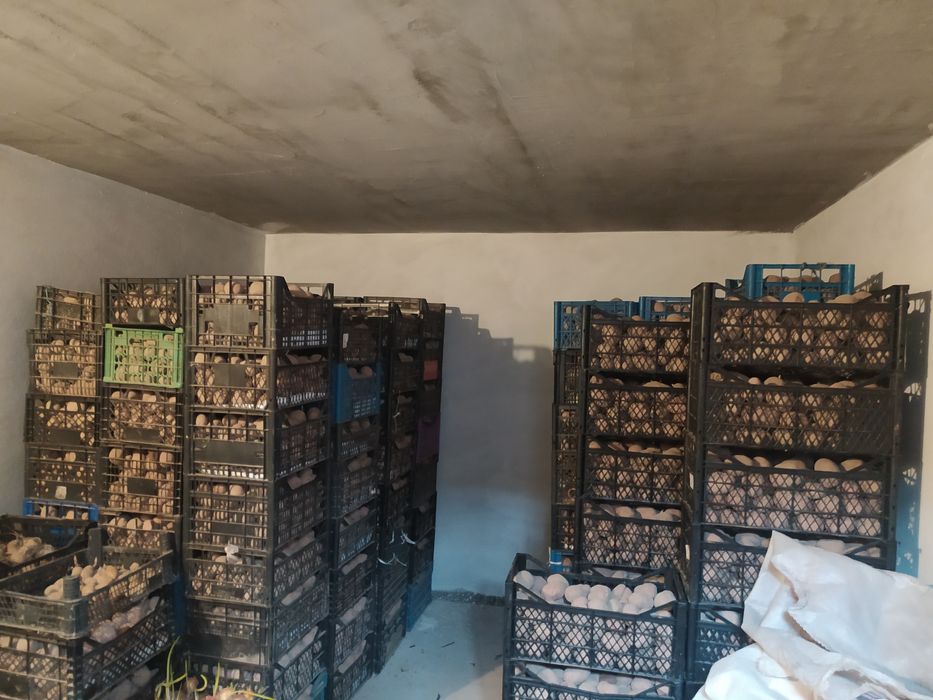 Продам дуже гарна