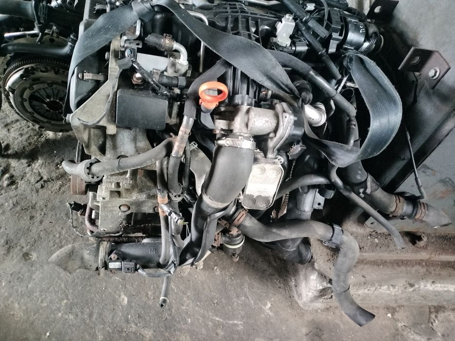 Мотор двигун  1.6 TDI (CAY) 77kw Volkswagen Golf 6, Passat B6-B7 Cadyy