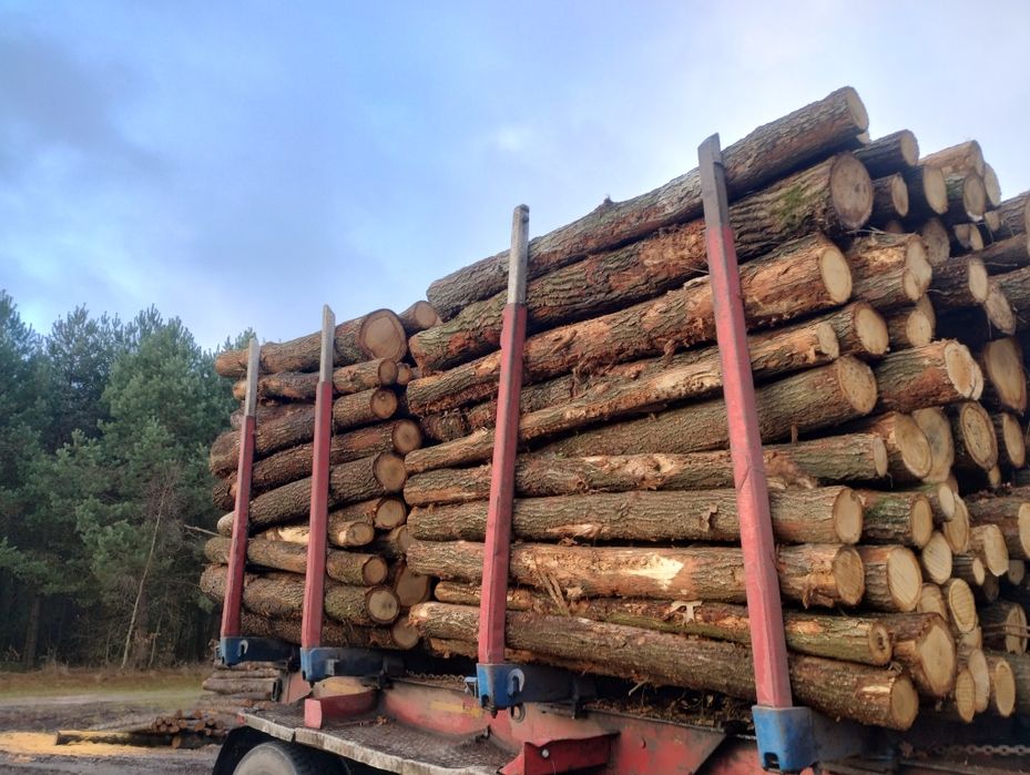 DĘBOWE kominkowe  opał, drewno  Transport 5mp. Sosna, brzoza, olcha