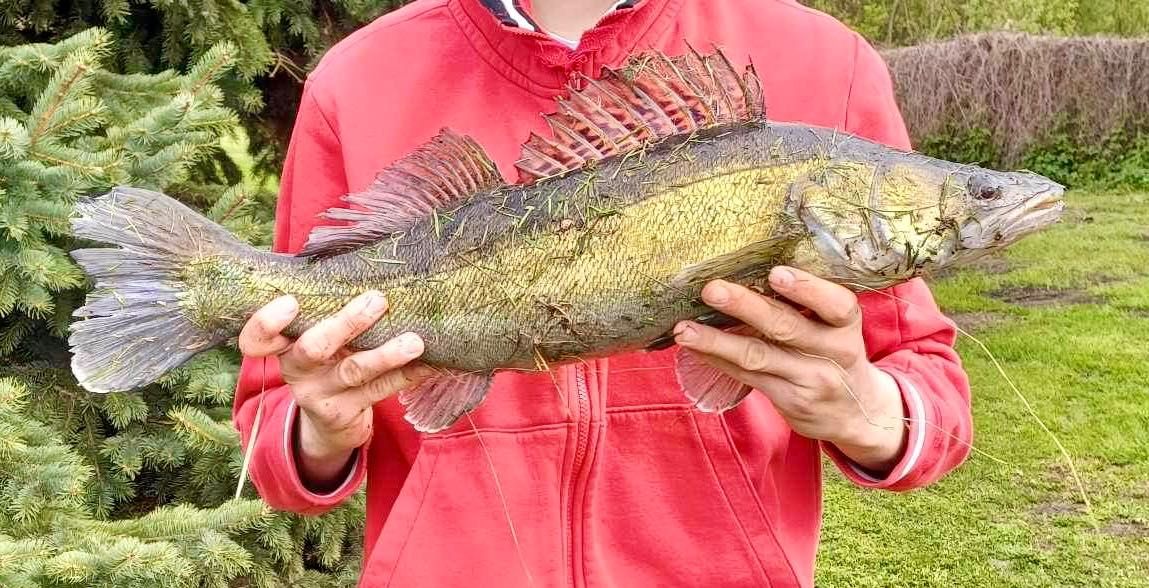 Świerkowe zacisze Świdry 25a Giżycko