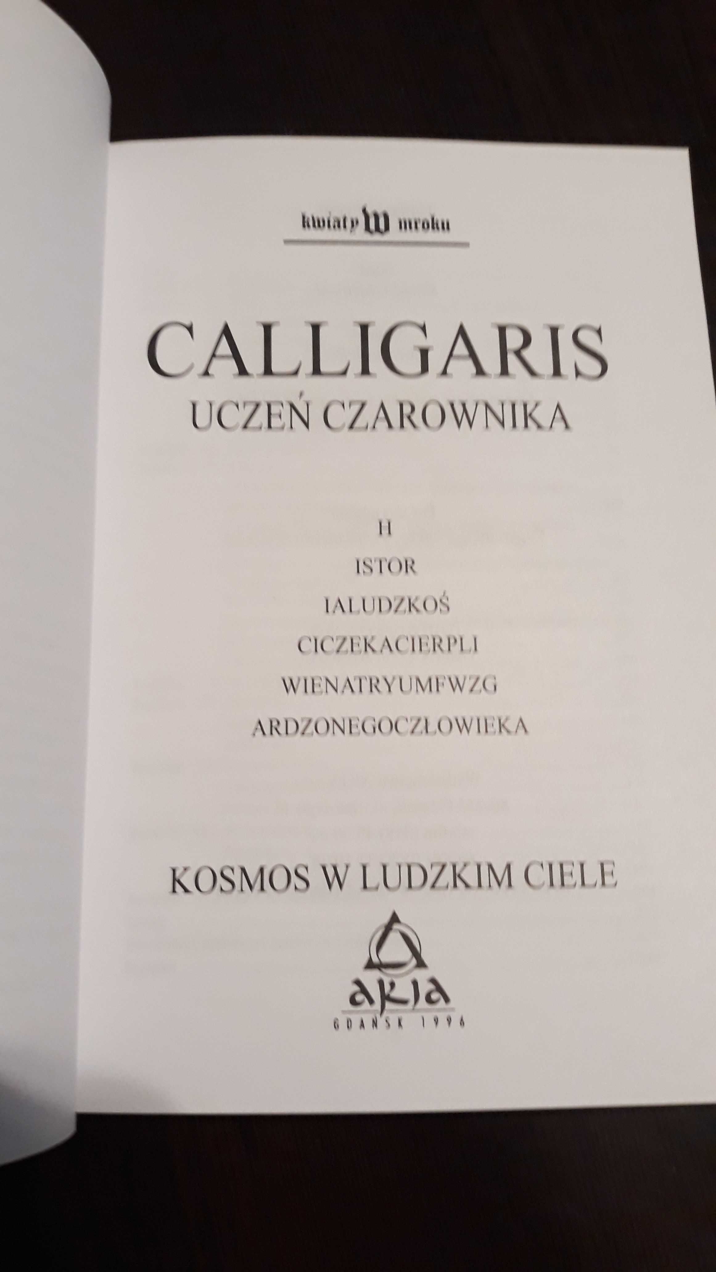 Uczeń czarownika kosmos w ludzkim ciele Giuseppe Calligaris