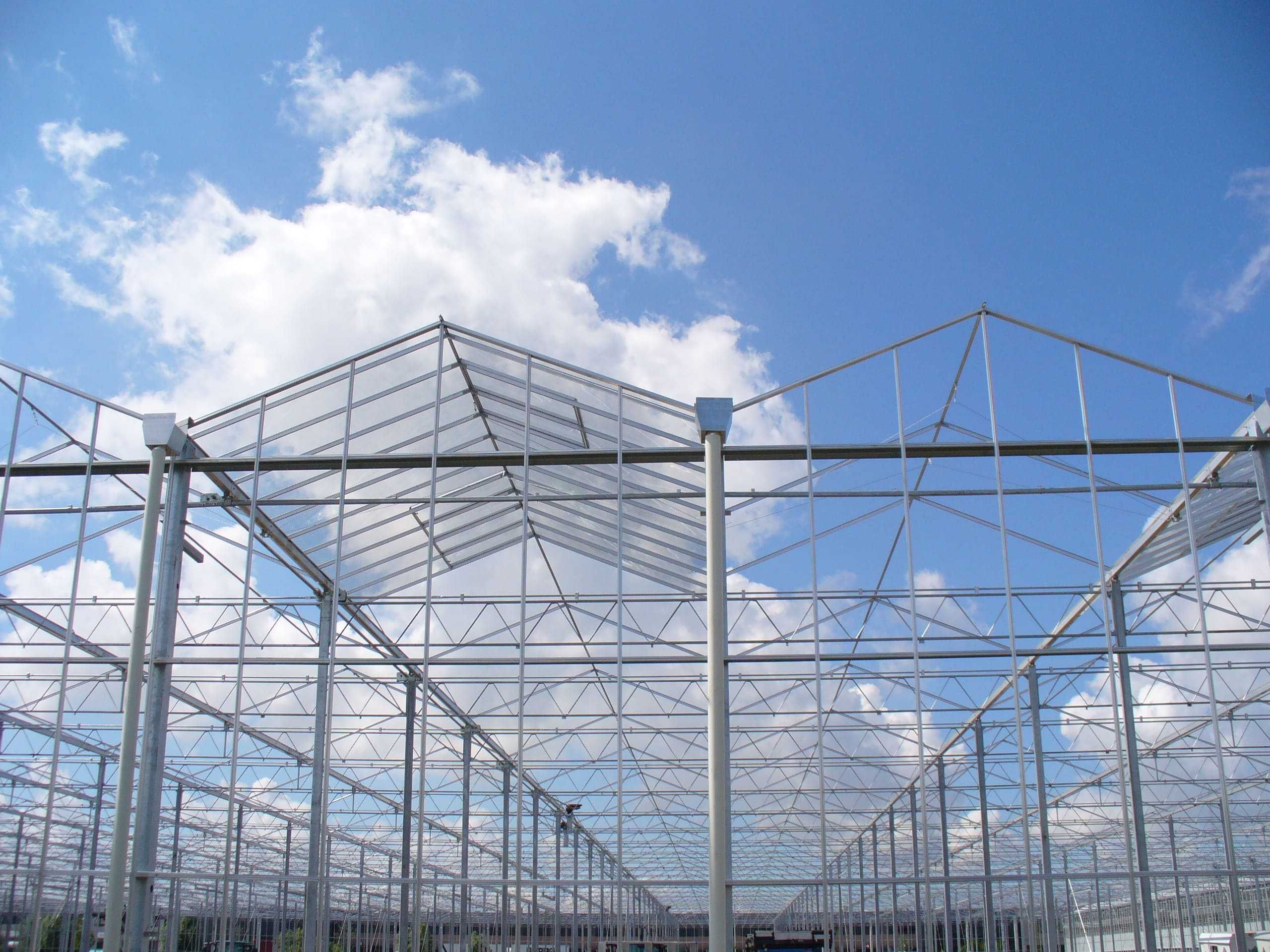 Cannabis / Estufas Agrícolas / Agricultural Greenhouses