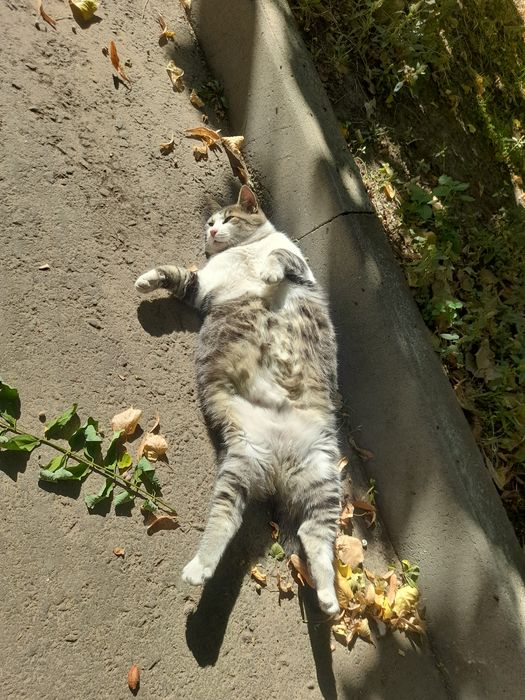 Приму в дар женскую одежду ,обувь