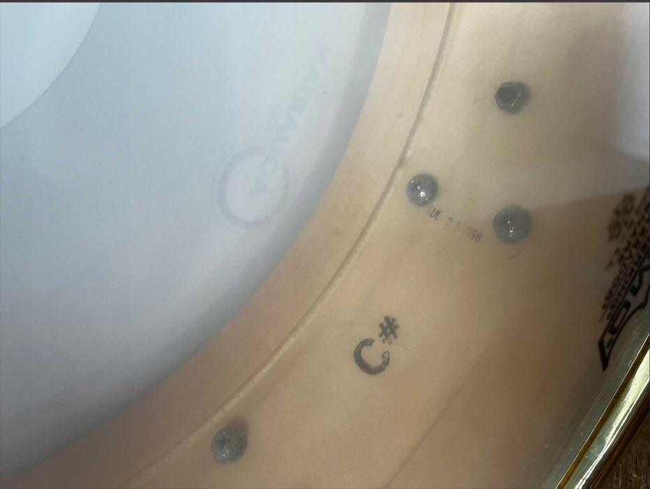 Werbel DW Collectors 25 Anniversary Fiddleback 14x5"