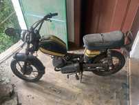 SACHS v5 famel z3 casal 2