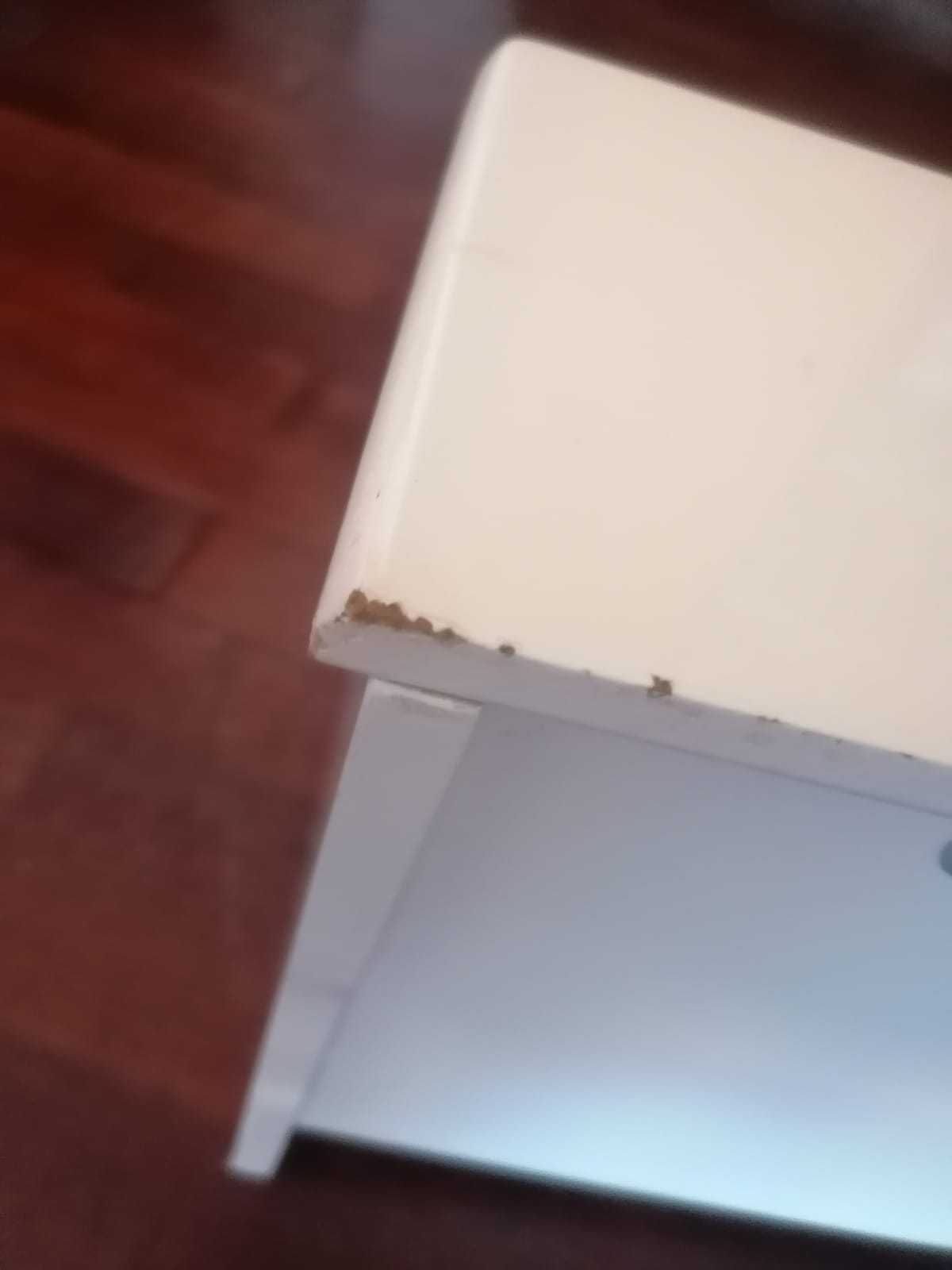 Piano de confete Janod para crianças