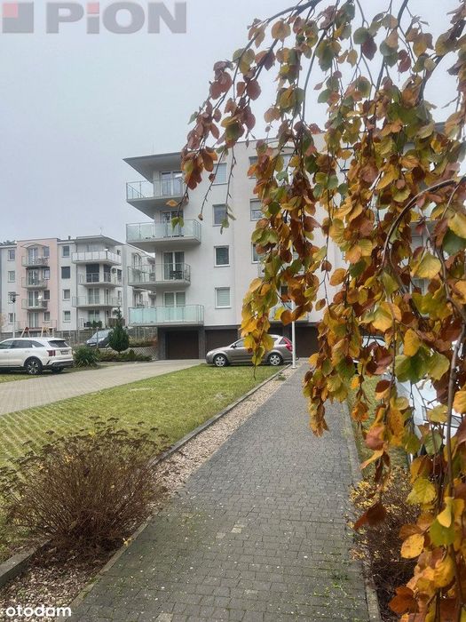 Nad morzem przy lesie