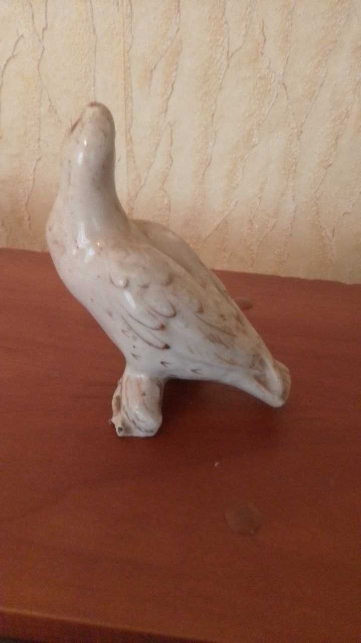 Голубь СССР продам