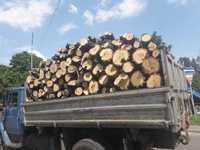 Продам дрова Днепр доставка