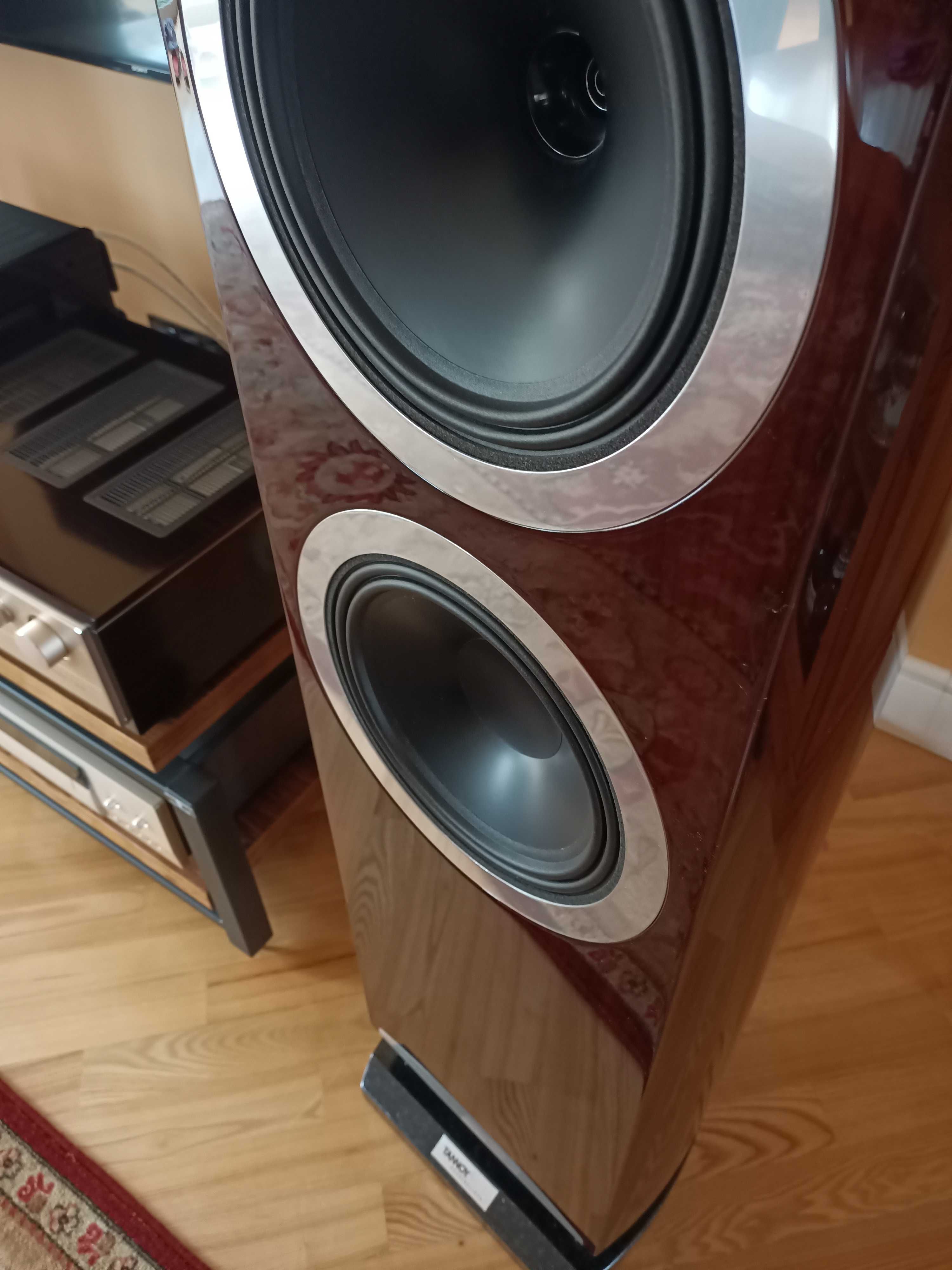 Tannoy Definition DC 10T Wanlut