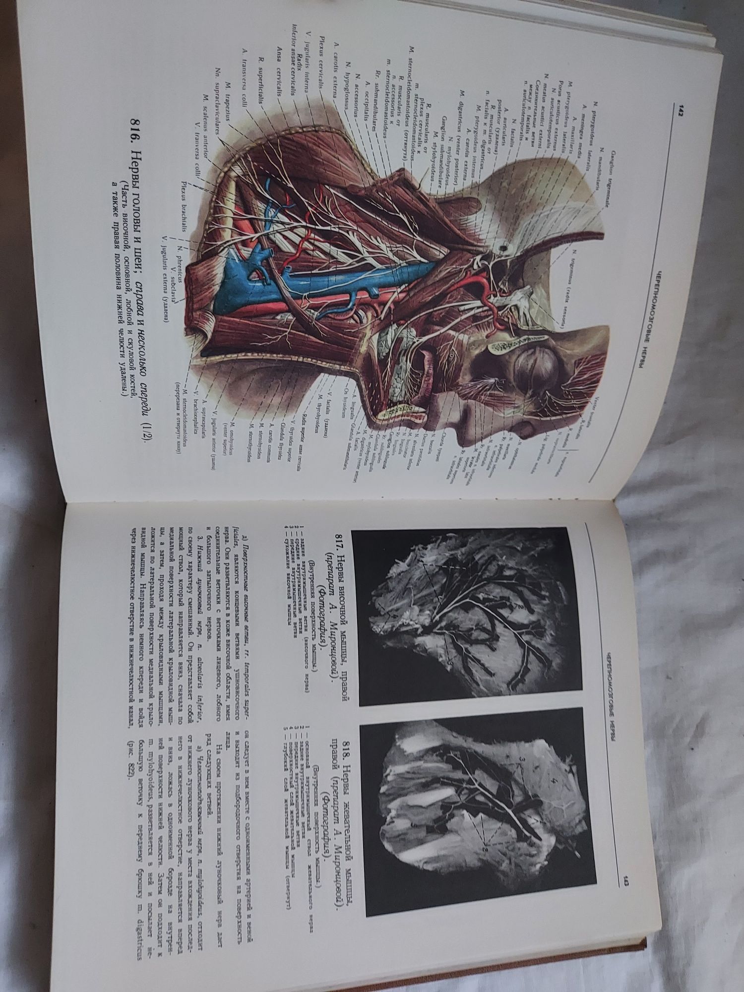 Atlas anatomii człowieka III Sinelnikov po rosyjsku