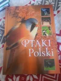 Ptaki Polski  - encyklopedia