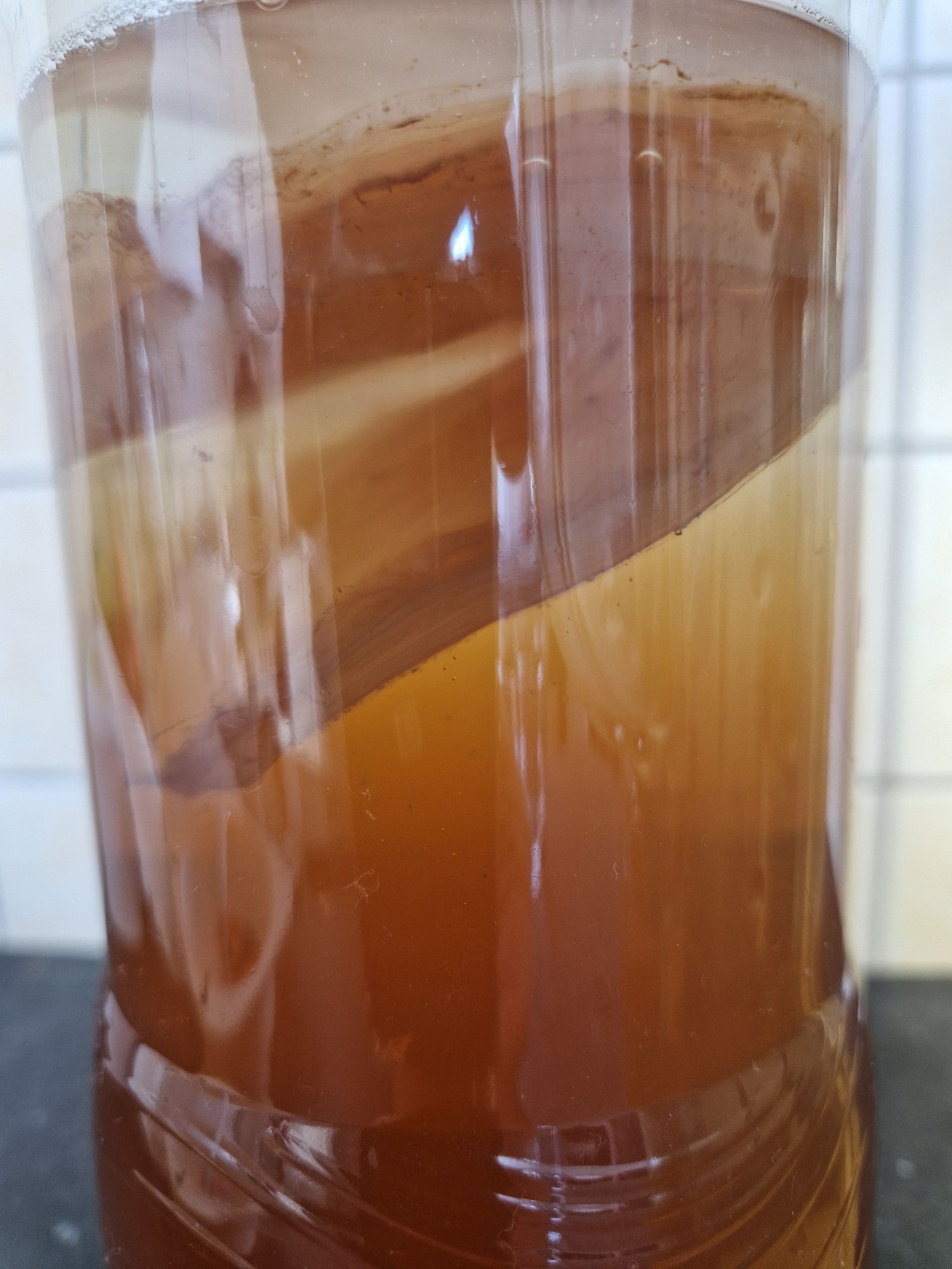 Kombucza (grzyb herbaciany).