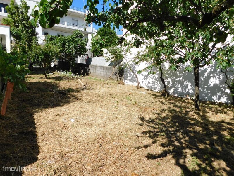 Terreno / Seia, São Romão