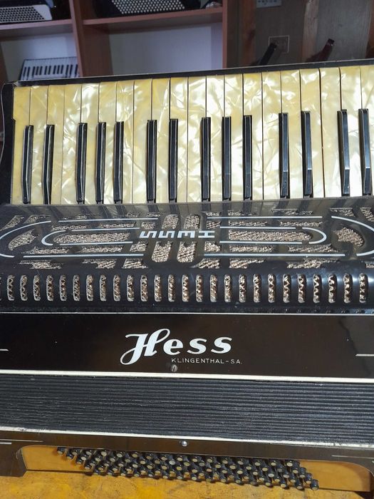 Akordeon HESS 80 basów IV chóry strój francuski /musette/