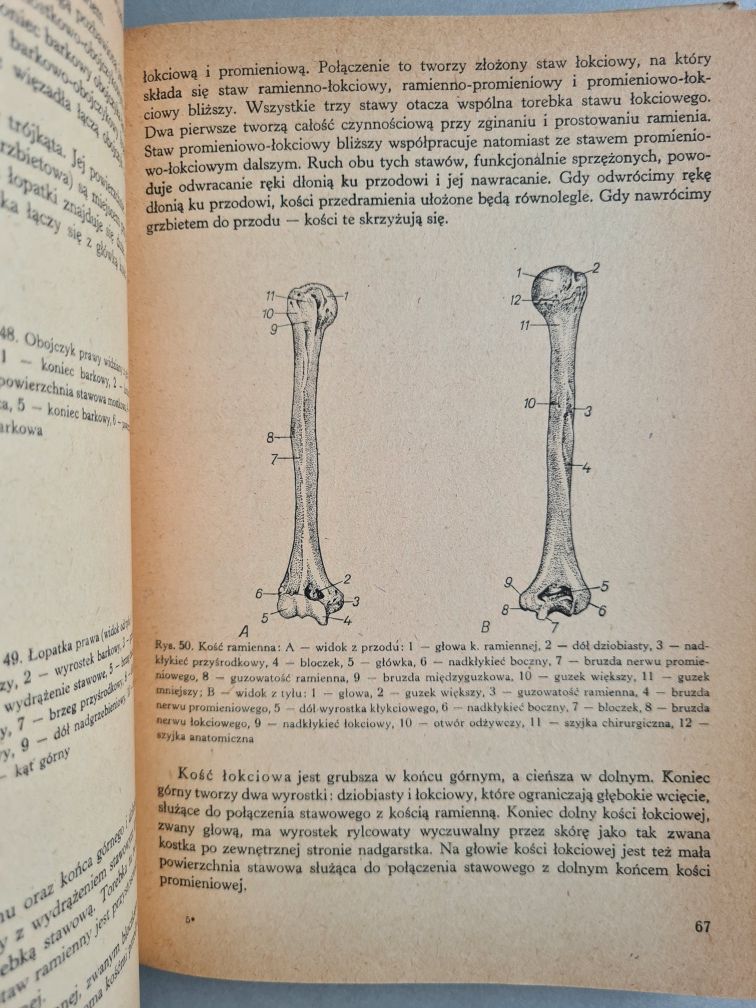 Anatomia i fizjologia człowieka - Janina Chlebińska