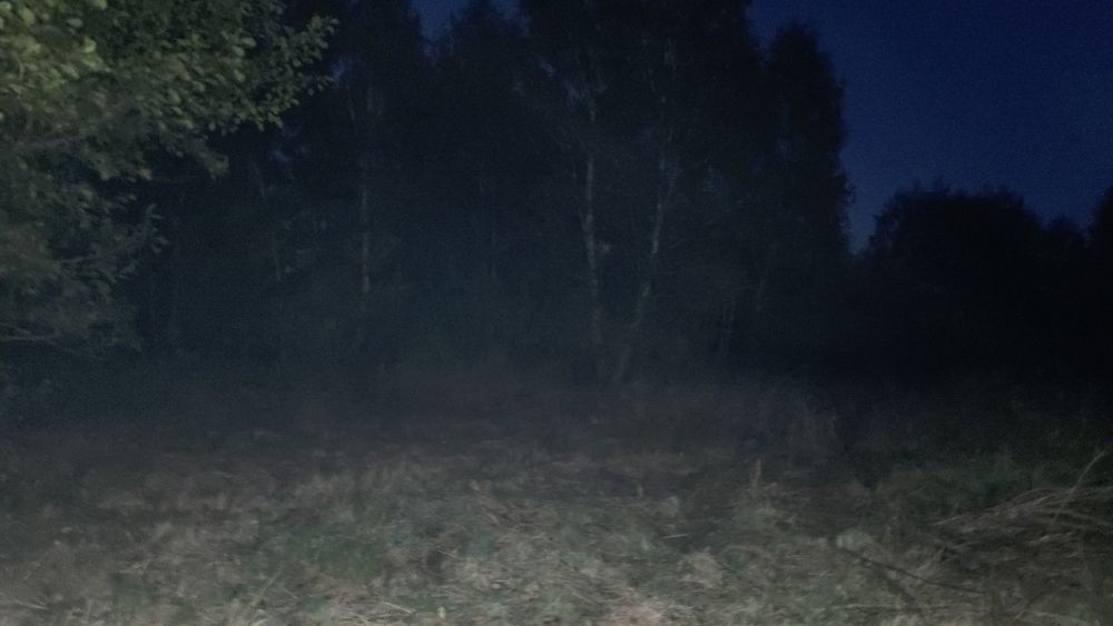 Sprzedam Drzewo około 30m2