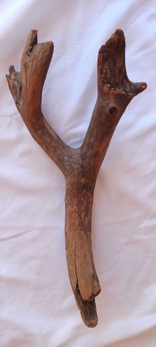 Tronco decorativo natural para terrário