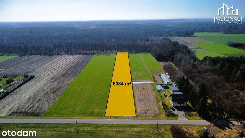 Duża działka przy lesie na Pojezierzu