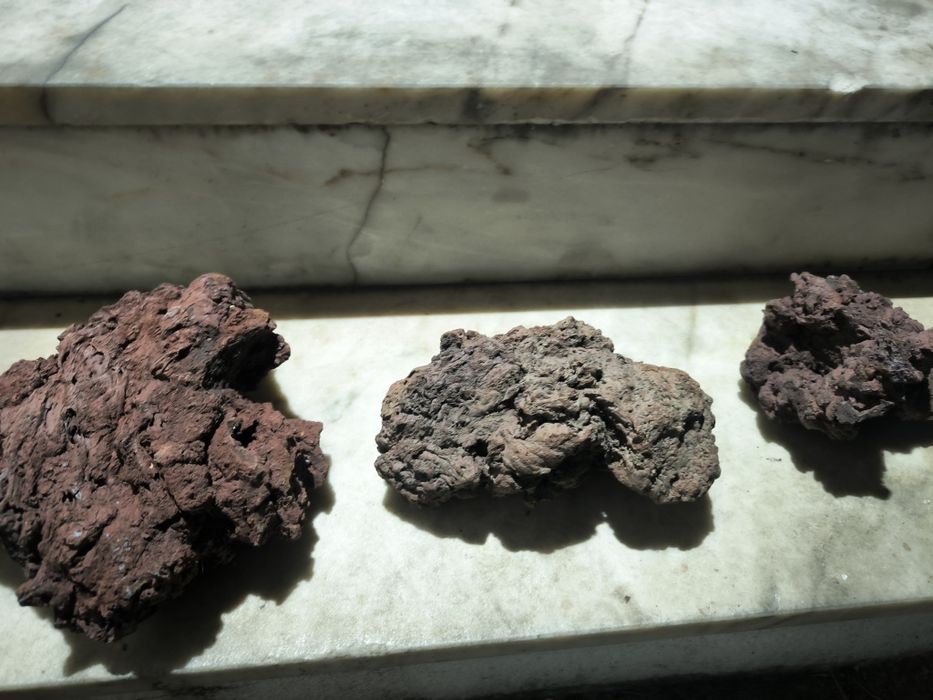 Troncos e rocha vulcânica para aquário e terrário