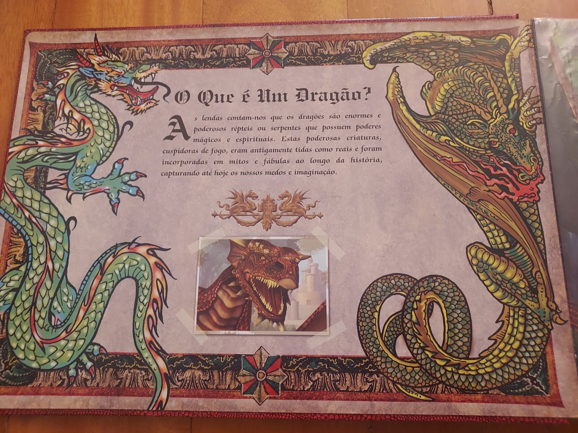 O Livro dos Dragões (Puzzle) - NOVO