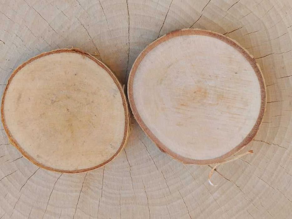plastry z brzozy drewniane krążki ok 10 cm szlif  rękodzieło
