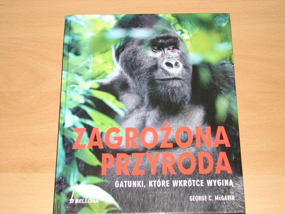 Zbiór książek dla dzieci, poradniki, zarządzanie, albumy i inne