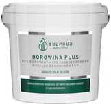 Borowina plus 1kg Kuracja borowinowa z Buska Zdrój