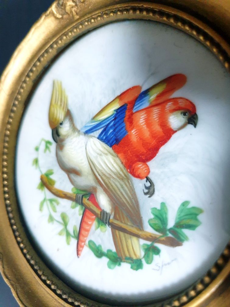Antiga pintura miniatura "catatua e papagaio" sobre porcelana assinada