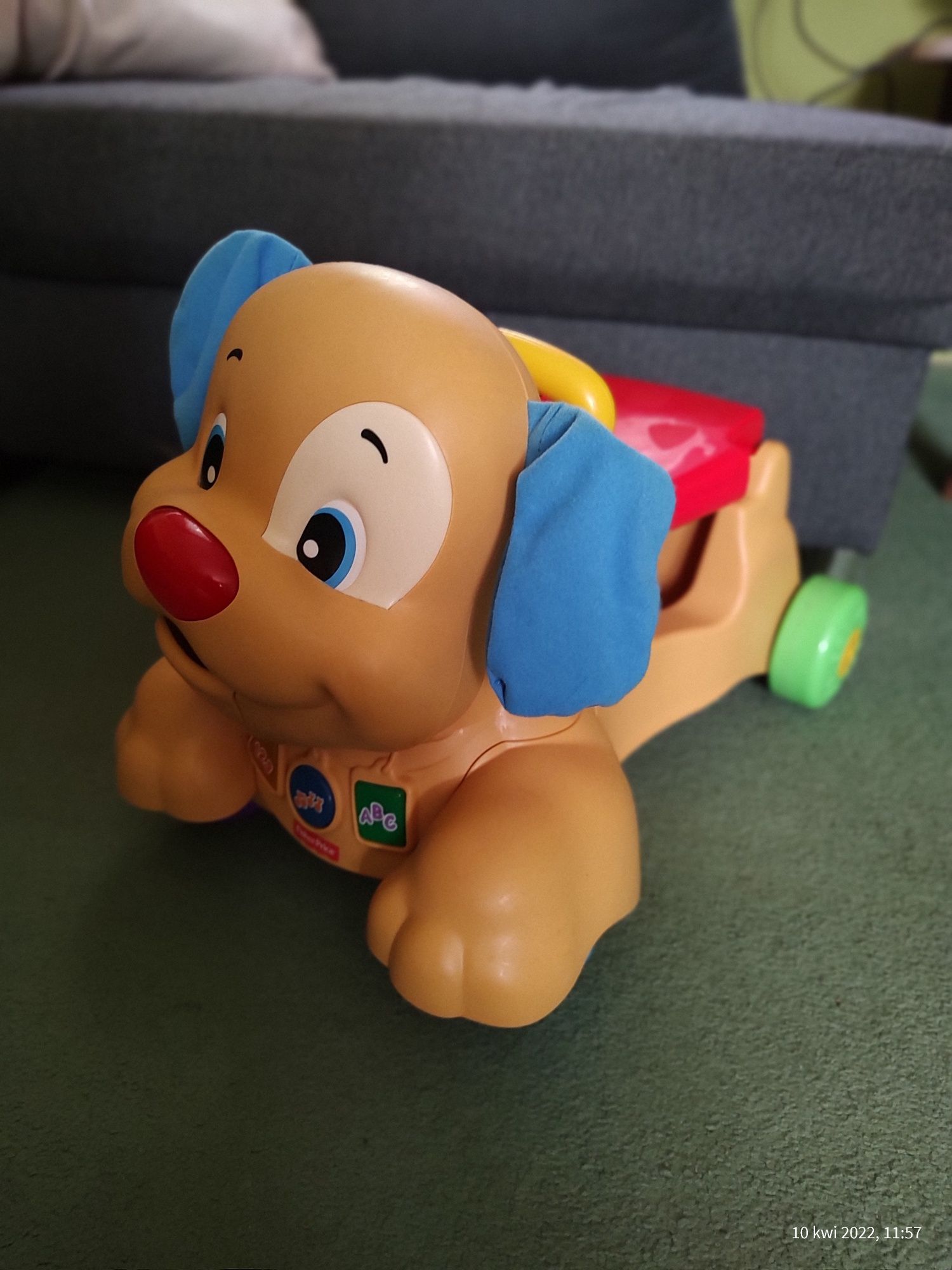 Jeździk szczeniaczek uczniaczek interaktywny Fisher Price