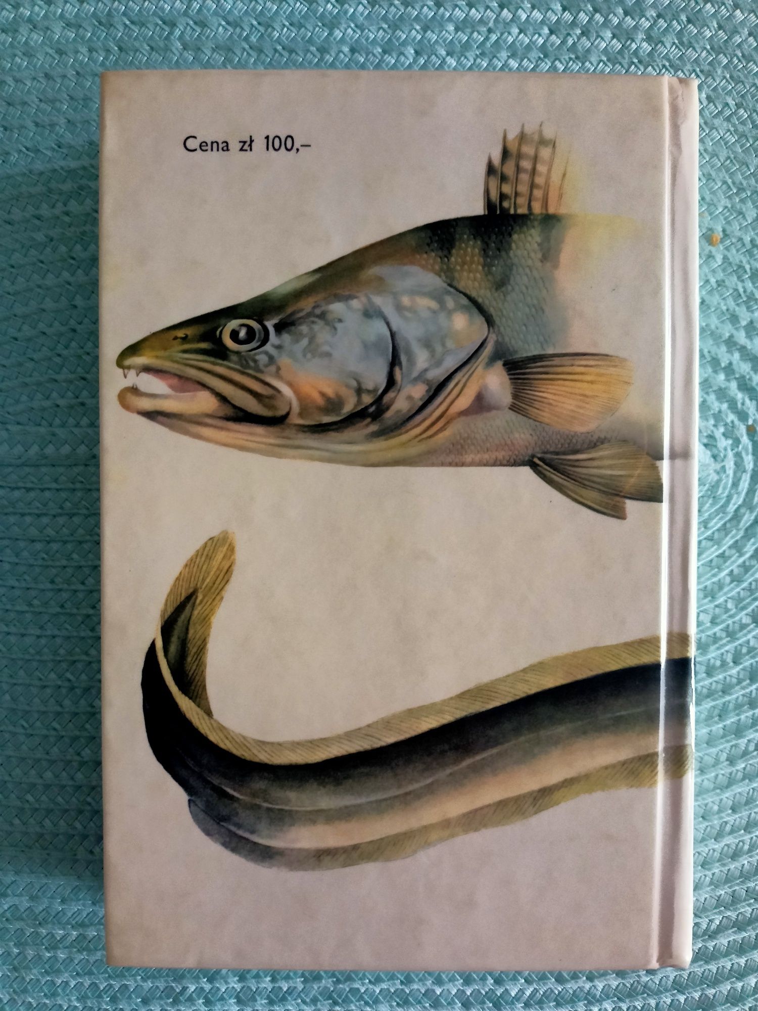 Ryby i Przynęty - książka ( 1976 )