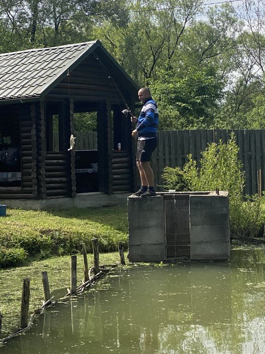 Дача в лісі с. Грушово (рибник)