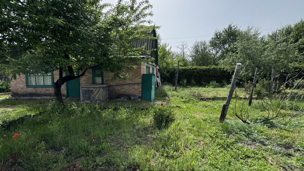 Дача у Орлівщині
