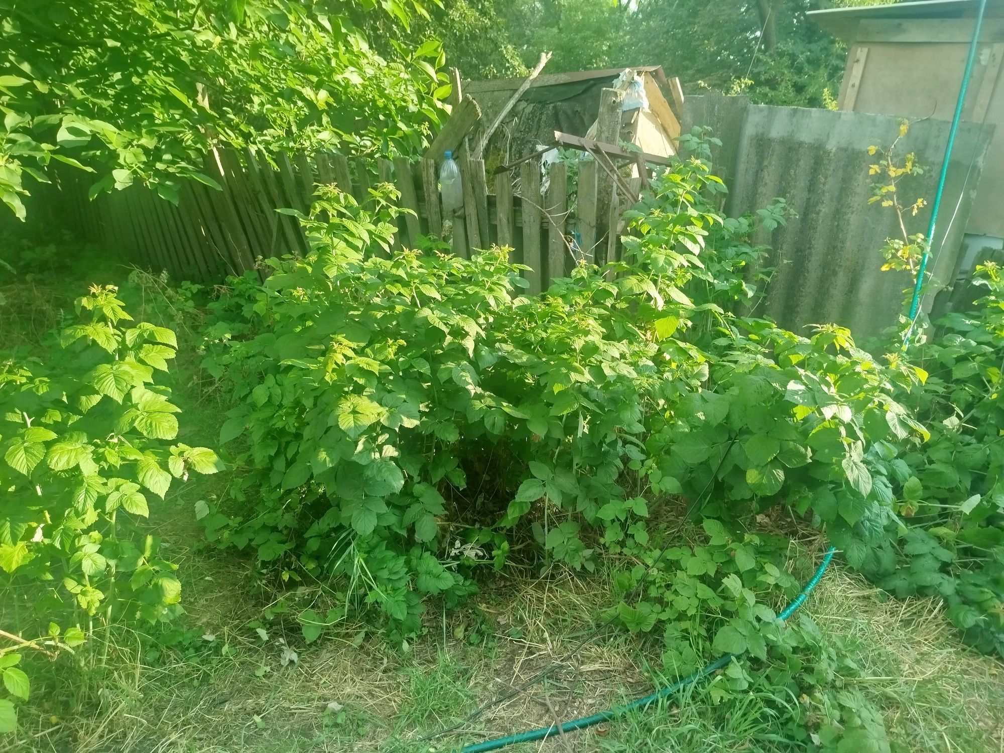 Продам дом, село Веселе