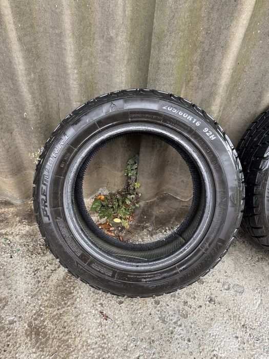 205  60 r16 Premiorri преміорі автошини