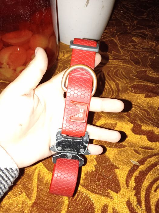 Нашийник вау дог