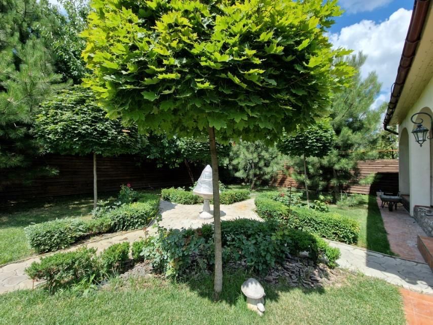 Аренда VIP дома 12 минут от Днера,1700$ с коммунальными (генератор)