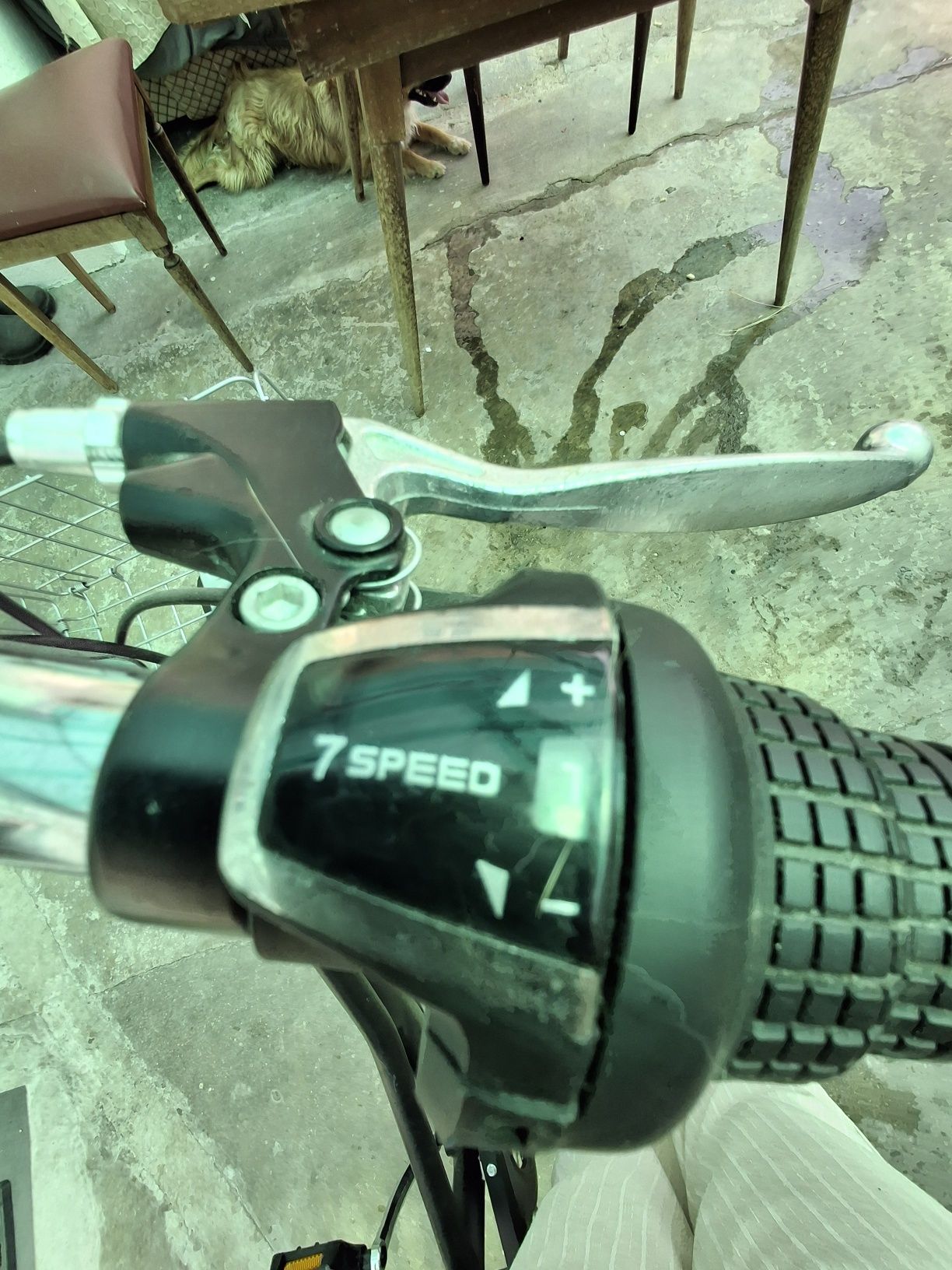 Bicicleta de três rodas para adulto