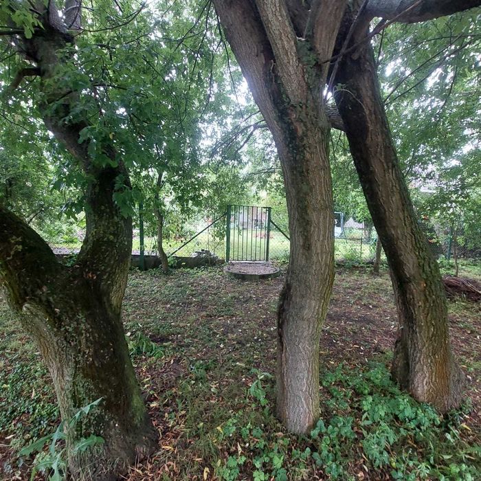 Sprzedam działkę ROD Urodzaj 3, odrębne wejście od strony rzeki Warty