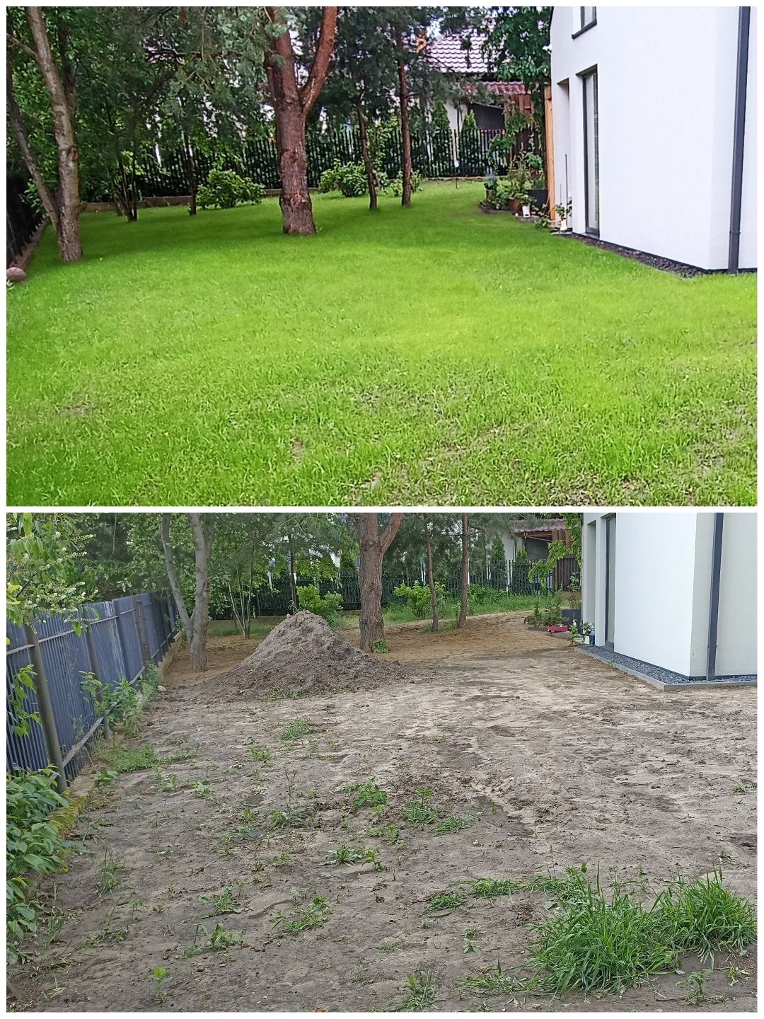 Pielęgnacja ogrodu - renowacja trawnika, wycinka drzew, karczowanie